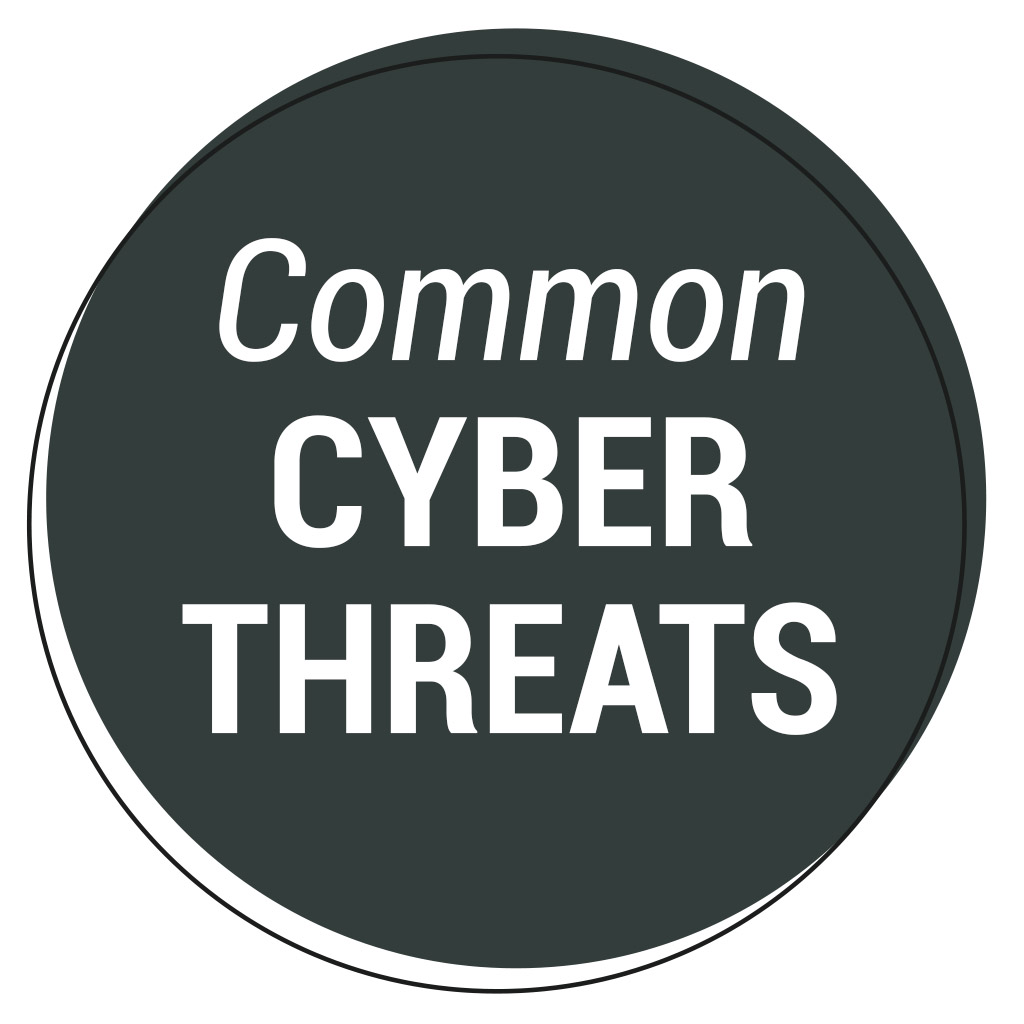 fisher's common cyber threats graphic fisher's common cyber threats graphic